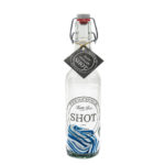 1394-Shot-Blue-Dragon